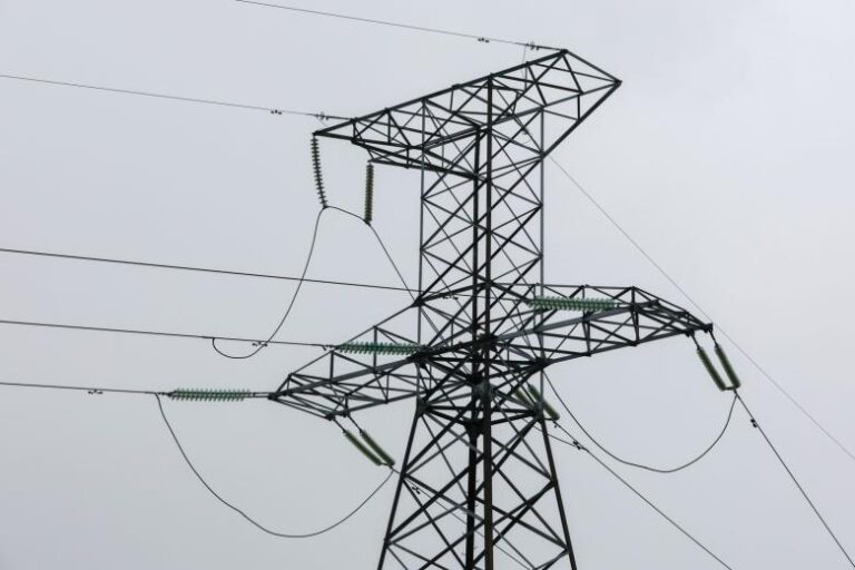 В Госдуме предрекли ЕС неминуемый энергетический кризис