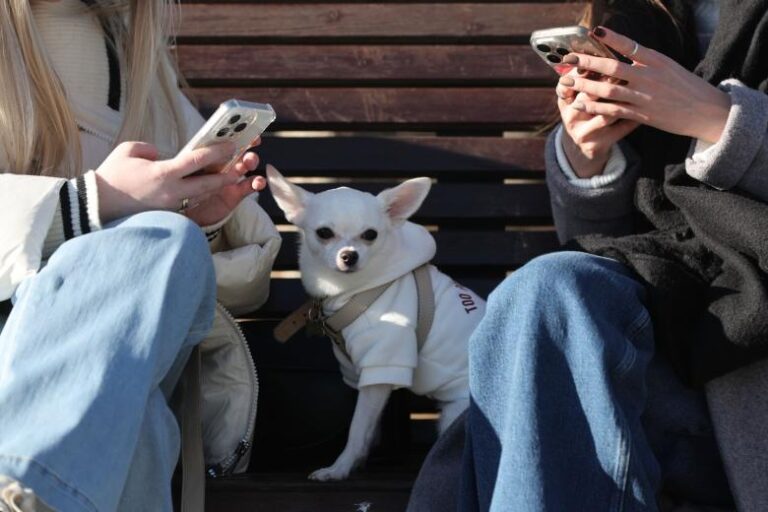 В Госдуме раскрыли, когда россияне смогут отказаться от массовых рассылок