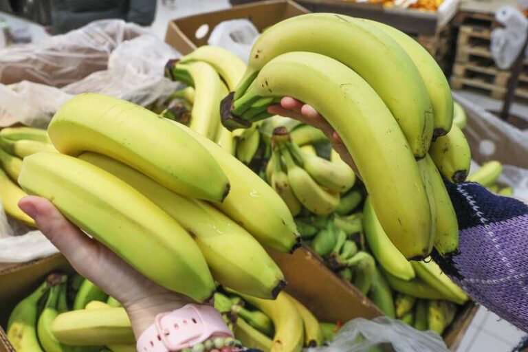 Бананы включили в перечень сельскохозяйственной продукции России