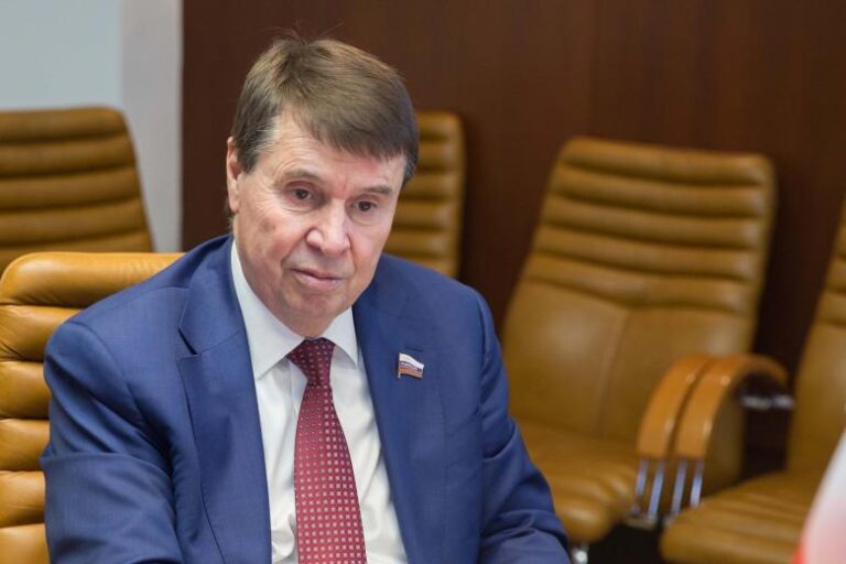 «Место для новых любимцев»: депутат о плане Зеленского сменить послов в G20