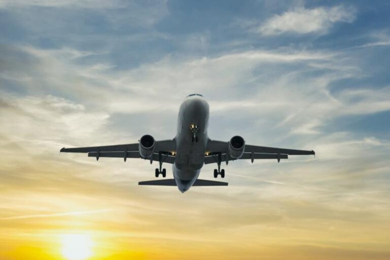 В Росавиации заявили, что система справляется с коллапсом