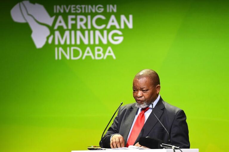 ЮАР повесила замок на свои редкоземельные металлы для США