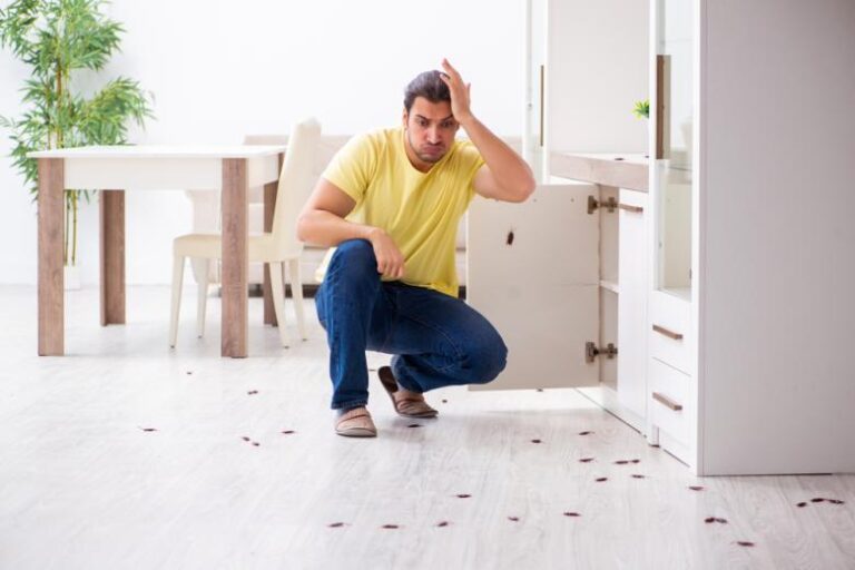 Стало известно, каких тараканов в Москве больше всего