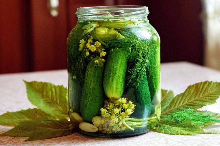 Для любимого зятя: соленые огурцы с тархуном — необычно и очень вкусно