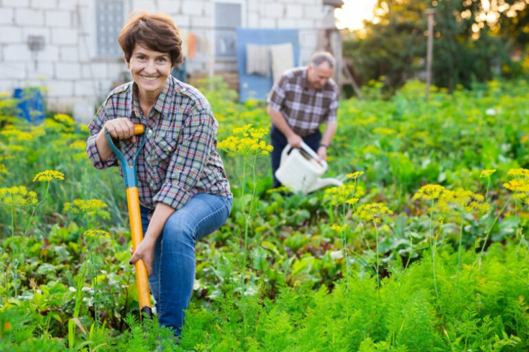 Россиянам рассказали, что нельзя делать на дачных участках