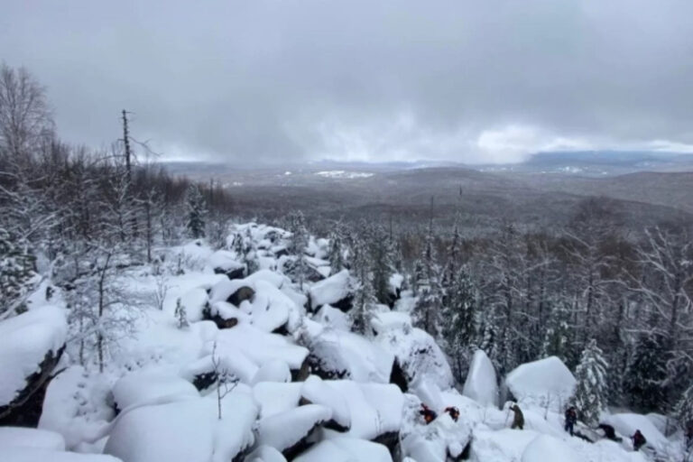 В Госдуме резко высказались о ситуации с исчезновением Усольцевых