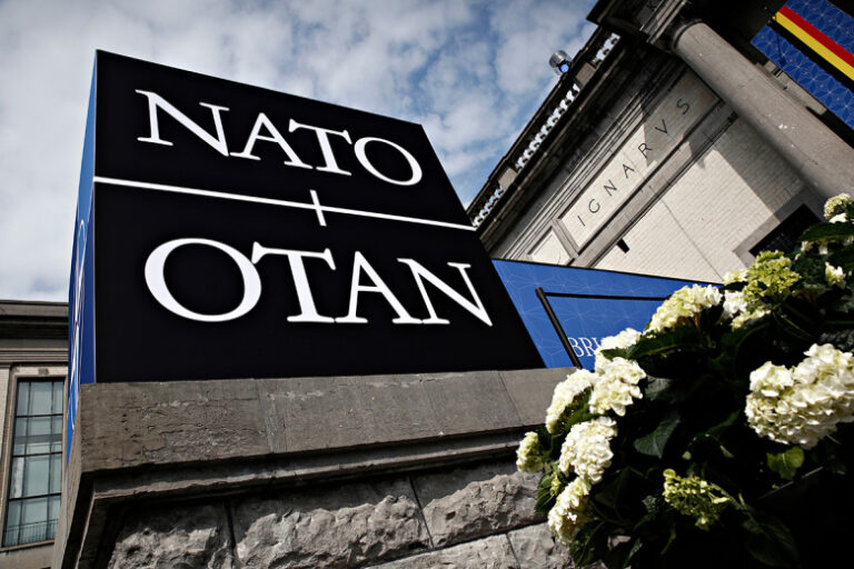 В Совфеде назвали четыре страны, которые не войдут в НАТО