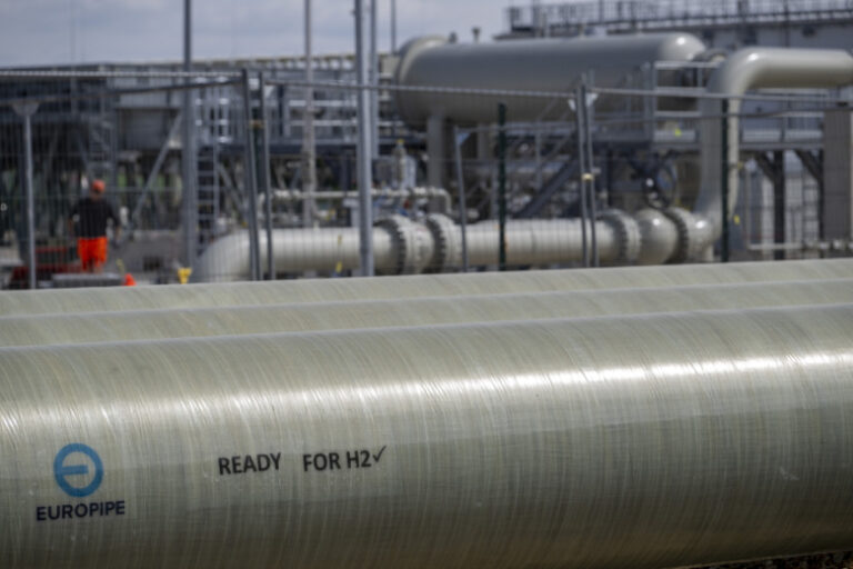 Володин сравнил американский газ с французскими духами