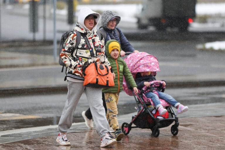 В Госдуме придумали, на что еще можно потратить материнский капитал