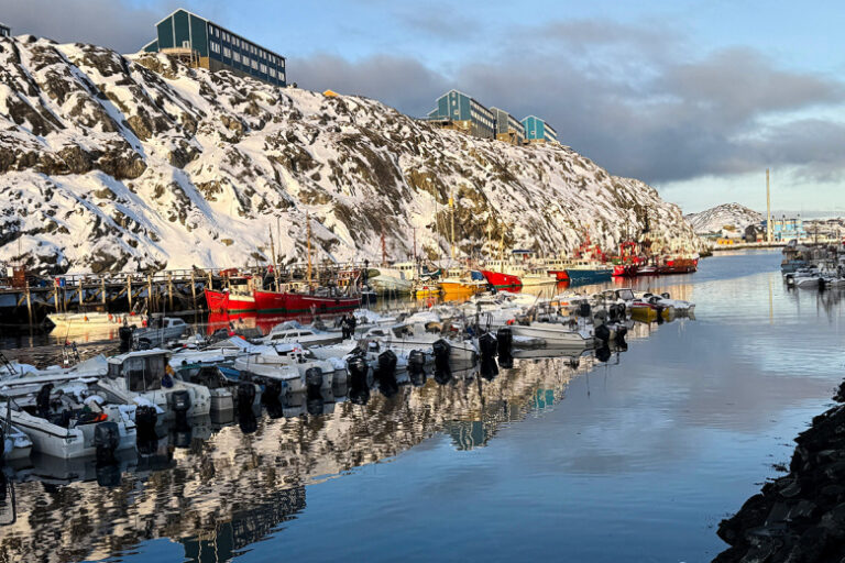 «Серьезный вызов»: Медведев ответил, кому угрожает ситуация с Гренландией