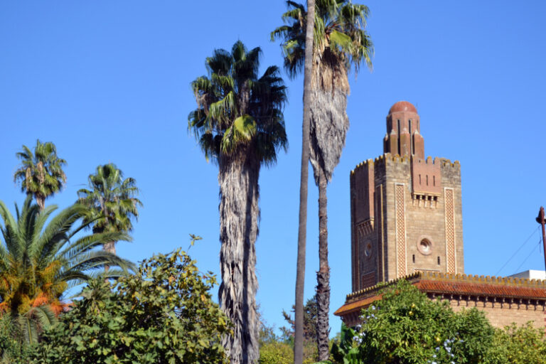 В марокканском городе проходит масштабная эвакуация из-за разгула стихии