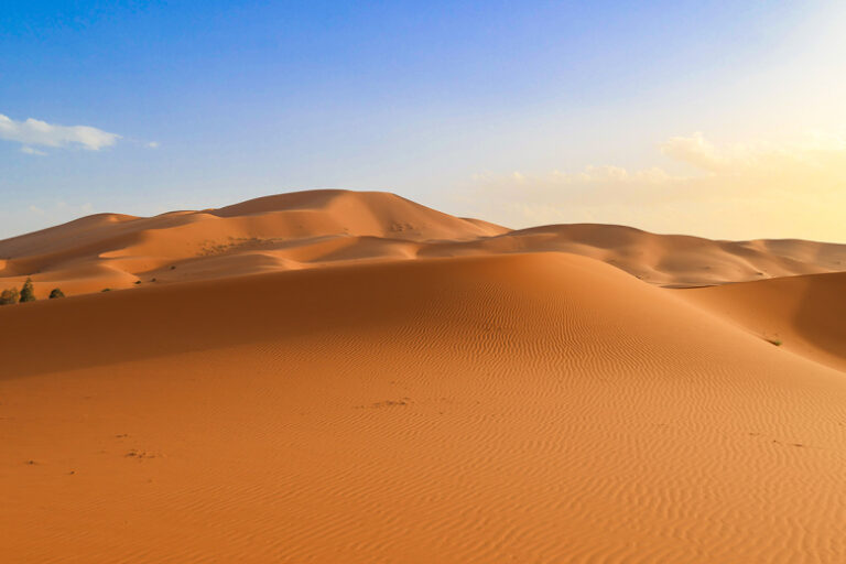 Дюны в пустыне Сахара внезапно сменили цвет