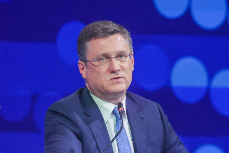 Новак объяснил, к чему привел ажиотаж на рынке топлива